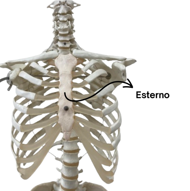 Captura de tela 2024-07-07 174750