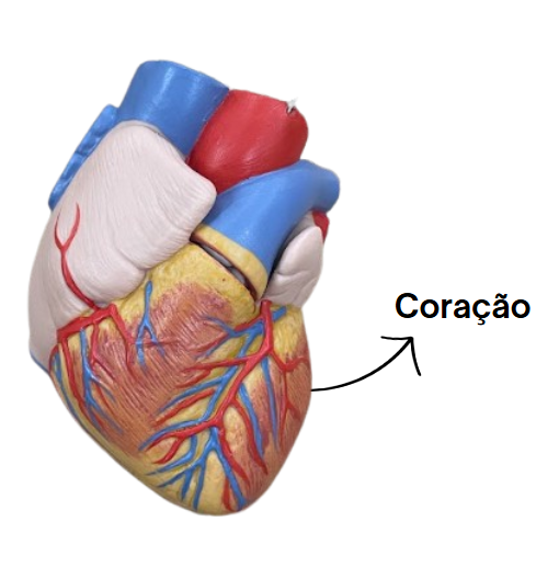 Captura de tela 2024-09-13 070154