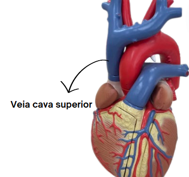 Captura de tela 2024-09-16 213902